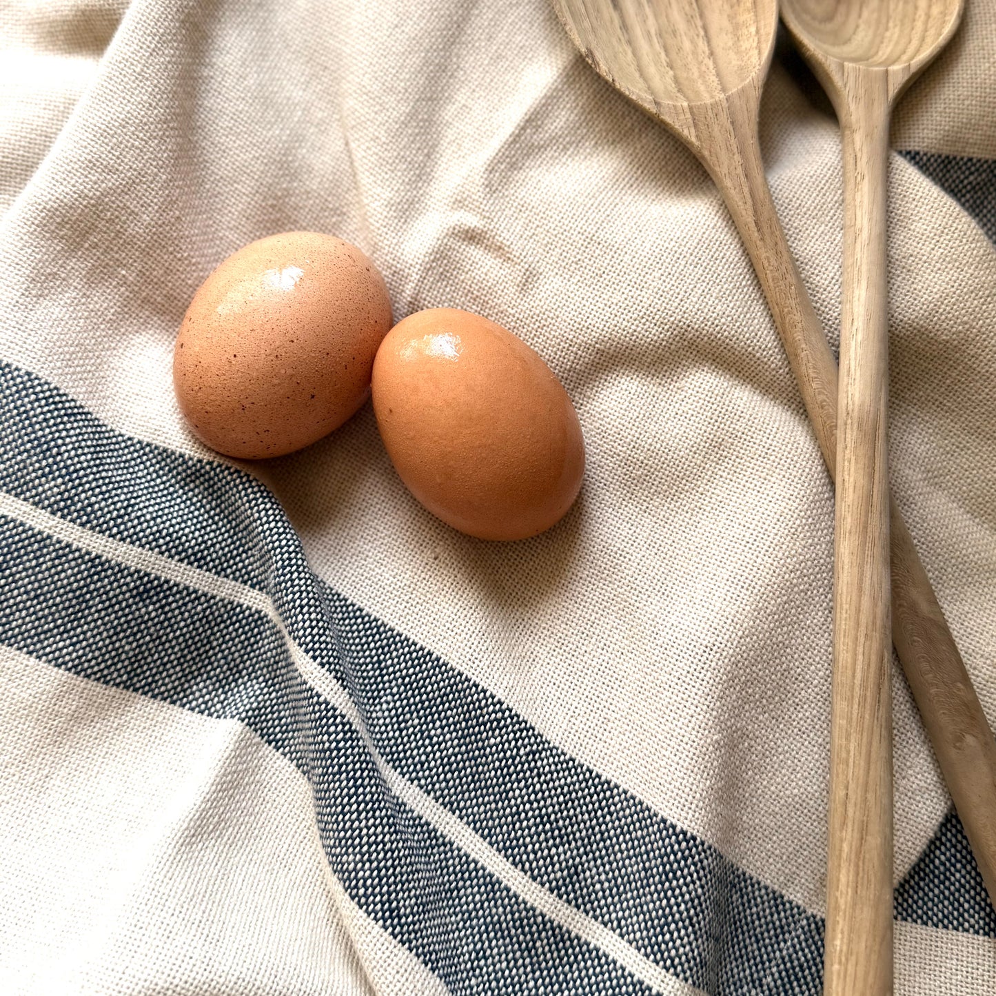 Blue Stripe Cotton Kitchen Towel | Set of 2