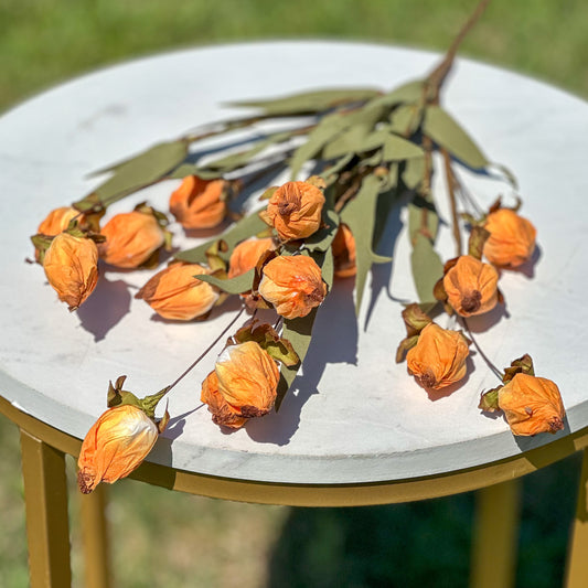 Lantern Bud Layering Stem | Ombre
