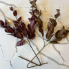 Brown Two Tone Basil Leaf Spray