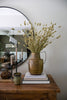 Dried Phalaris Bunch