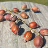 Autumn Pod Spray