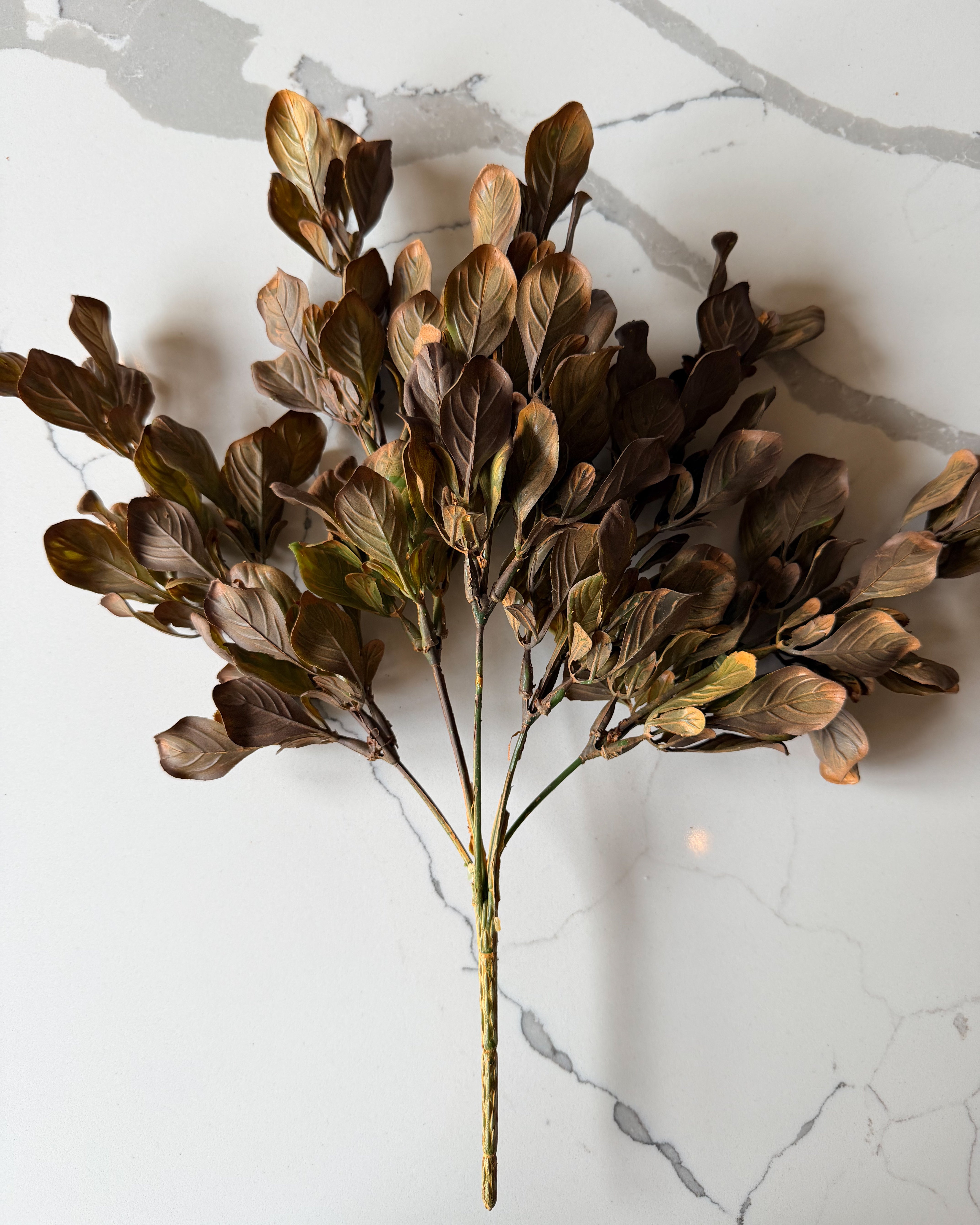 Golden Meadow Leaf Stem
