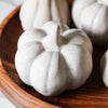 Stoneware Pumpkin | Set of 4