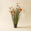 Tall Faux Potted Grass with Caraway Coneflowers