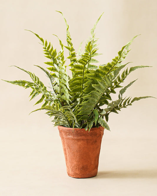 Chloe Terracotta Potted Faux Fern