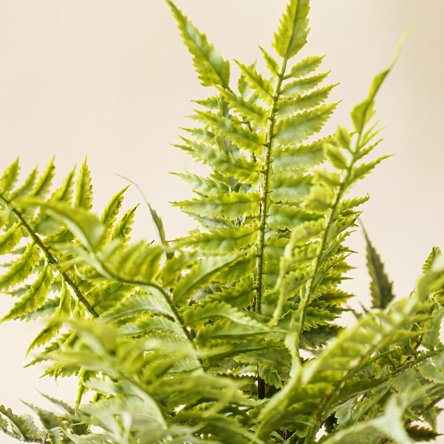 Chloe Terracotta Potted Faux Fern