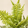 Chloe Terracotta Potted Faux Fern
