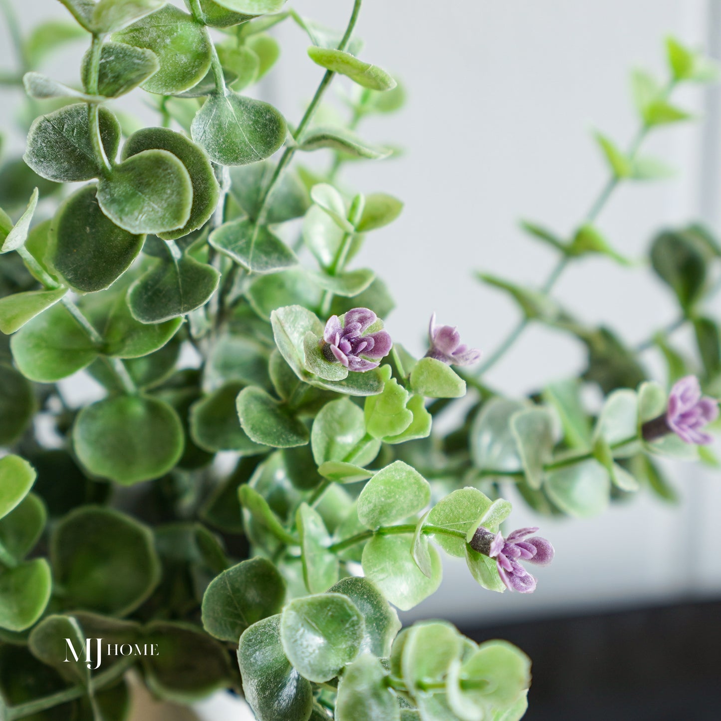 Purple Buds and Eucalyptus Bush