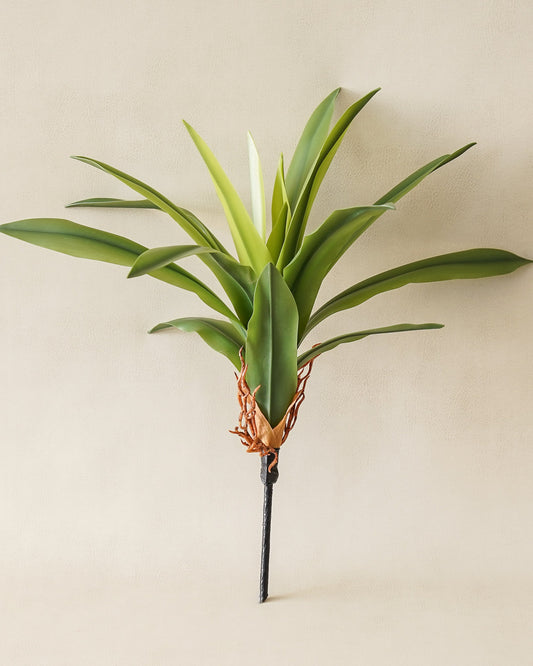 Romilly Real Touch Agave