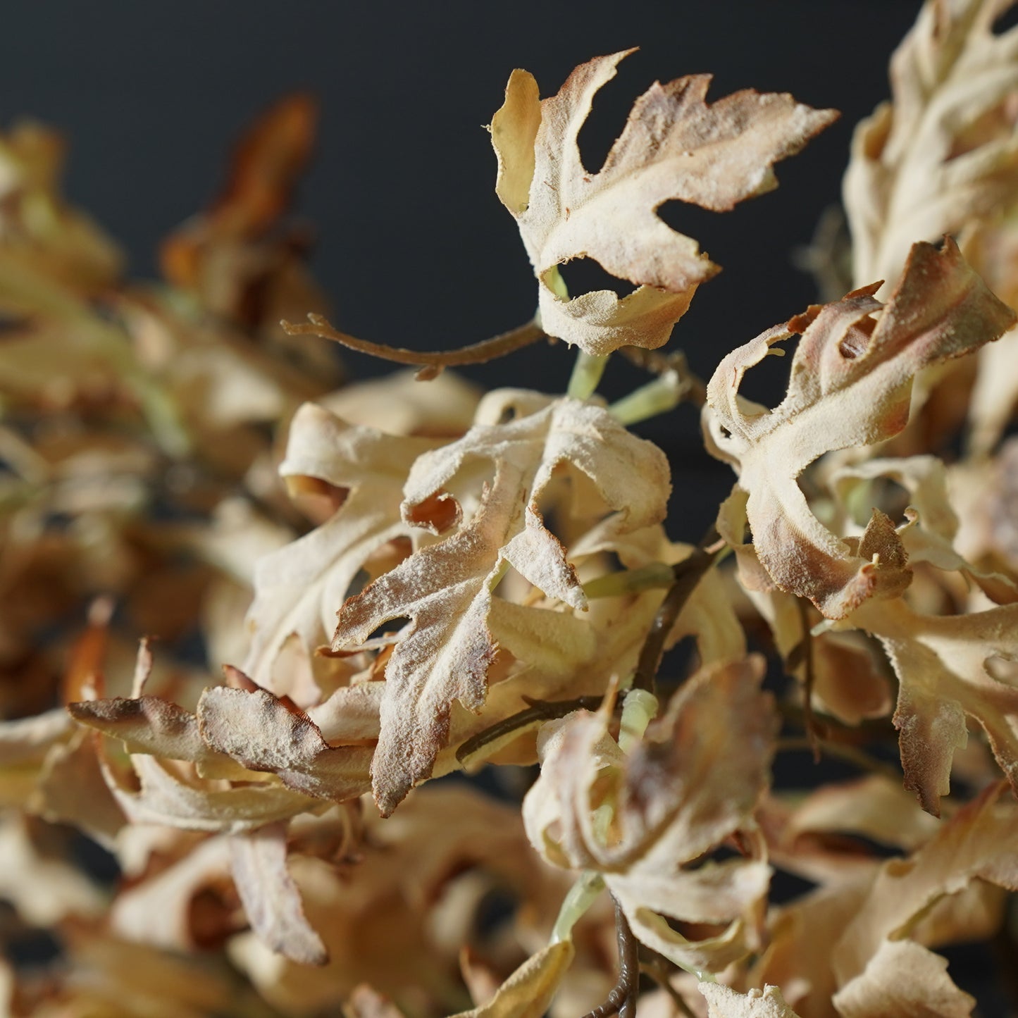 Beige Oak Leaf Stem