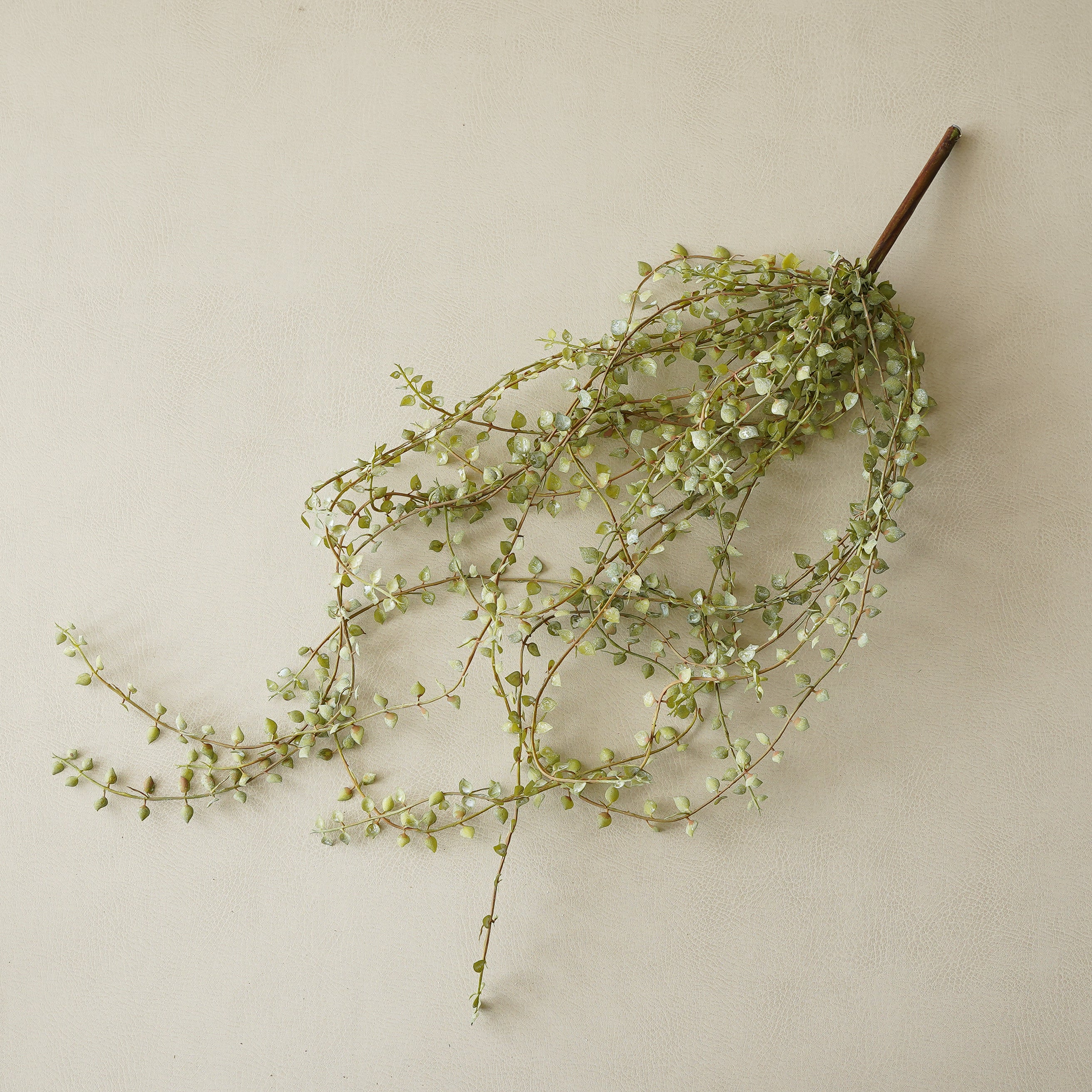 Little Vine Hanging Pick