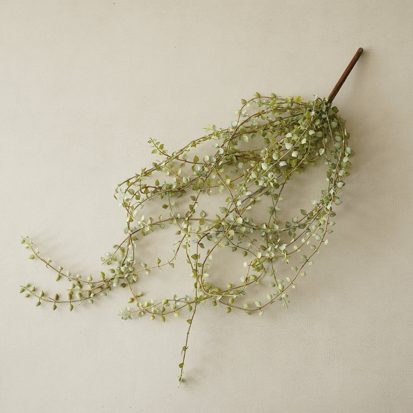 Little Vine Hanging Pick