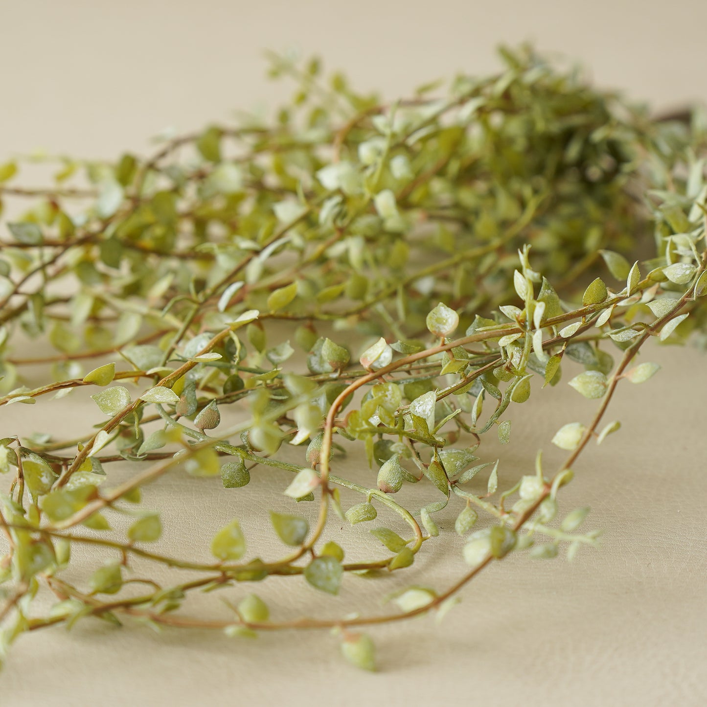 Little Vine Hanging Pick