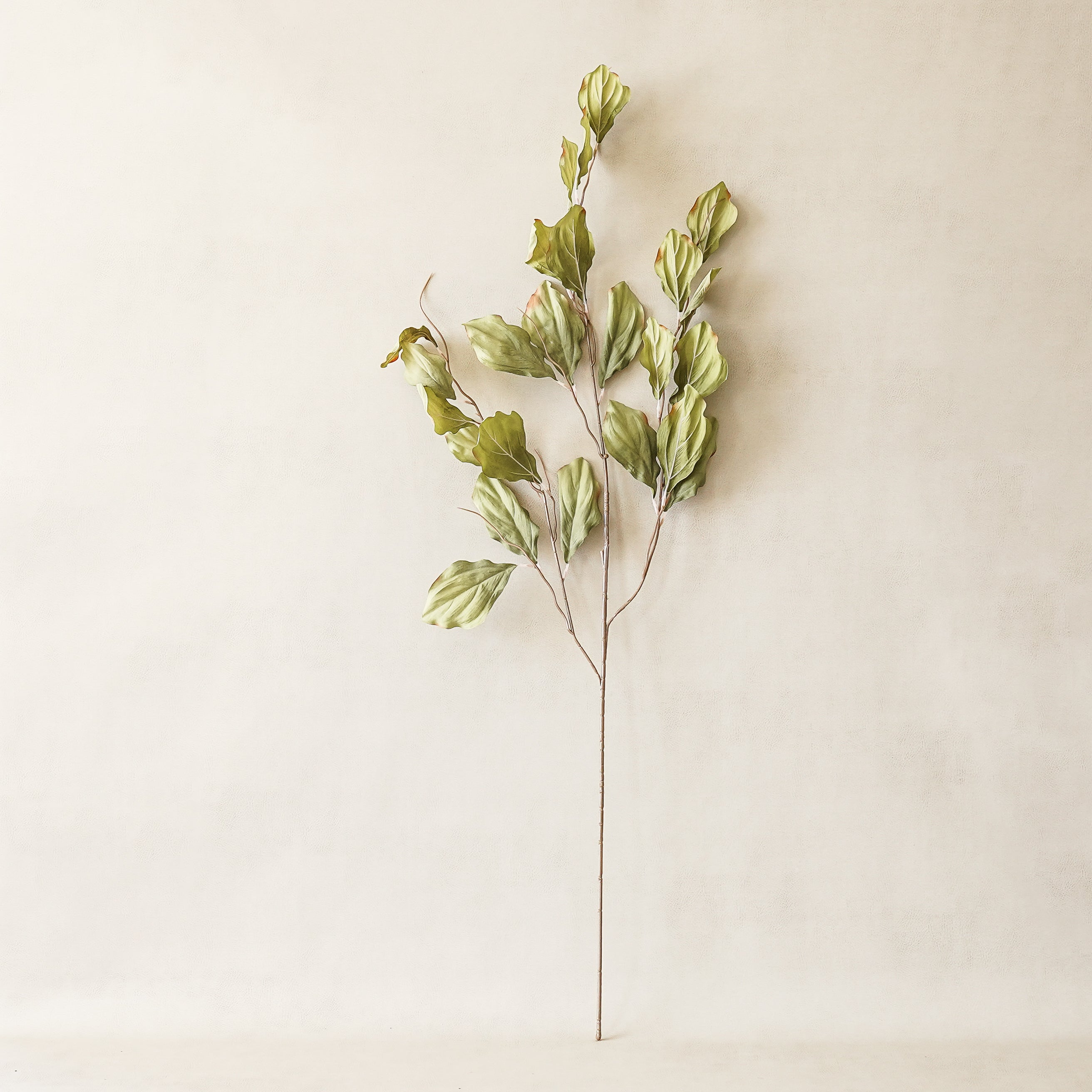 Fallon Green Leaf Spray