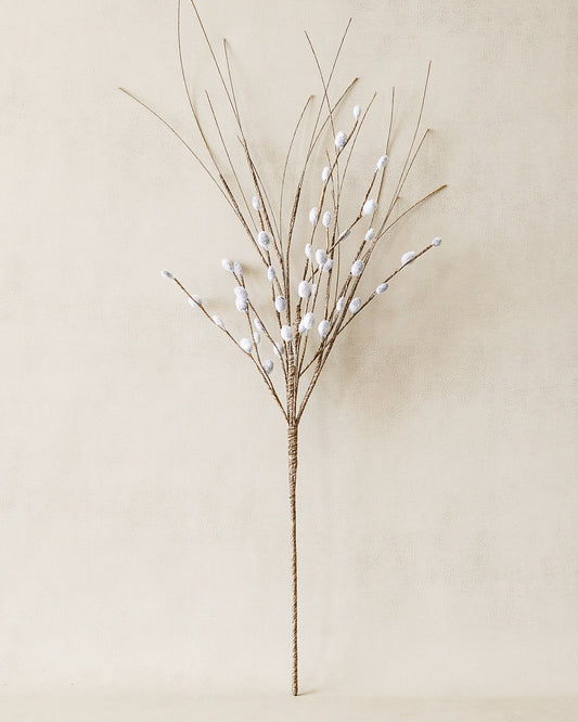 Pussy Willow Stem | Early Access Release