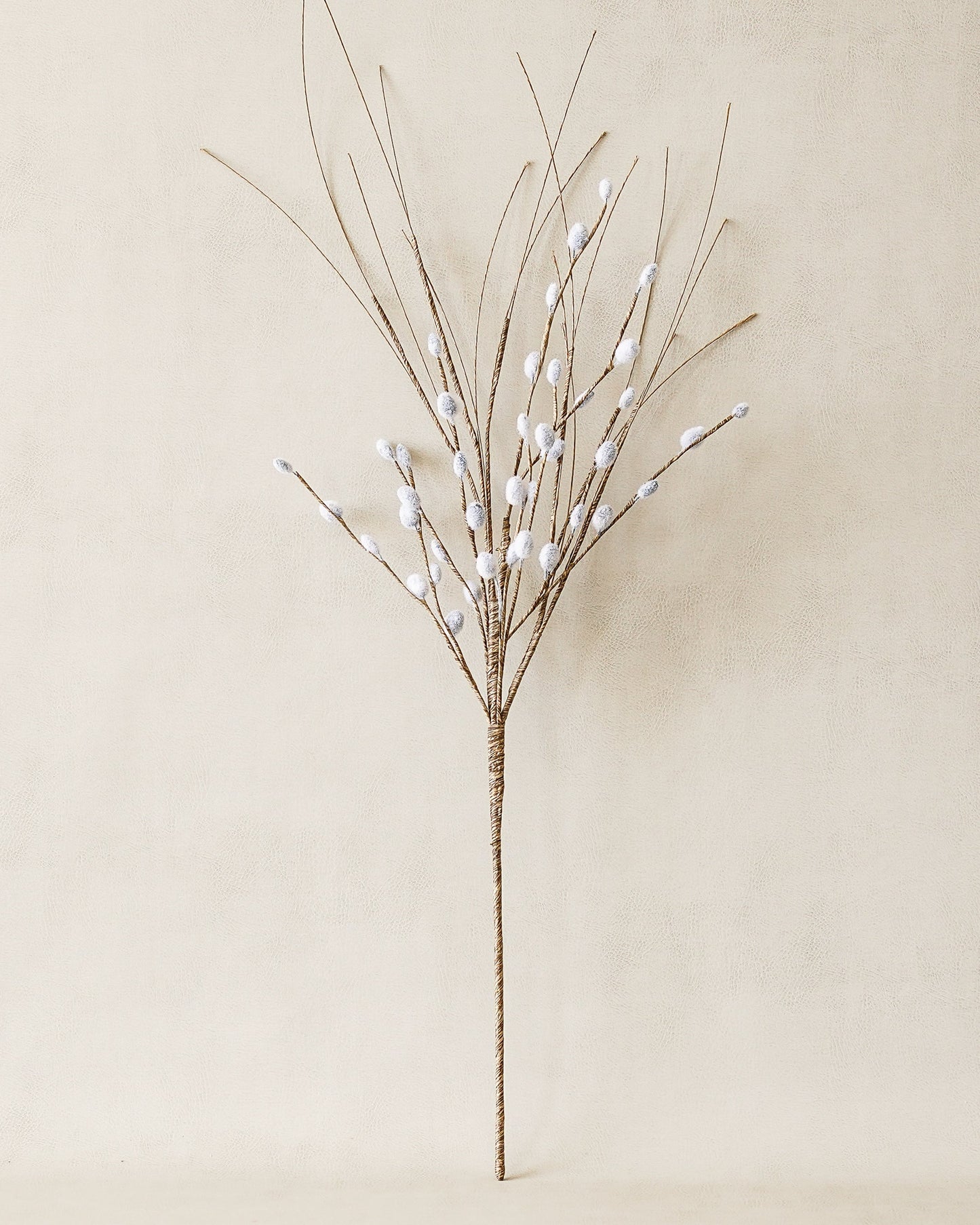 Pussy Willow Stem | Early Access Release