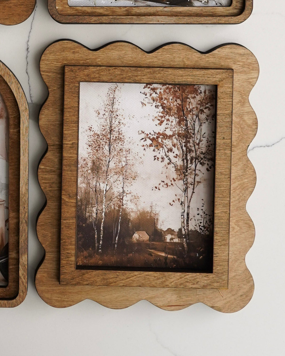 Autumn Birch Scallop Framed Canvas