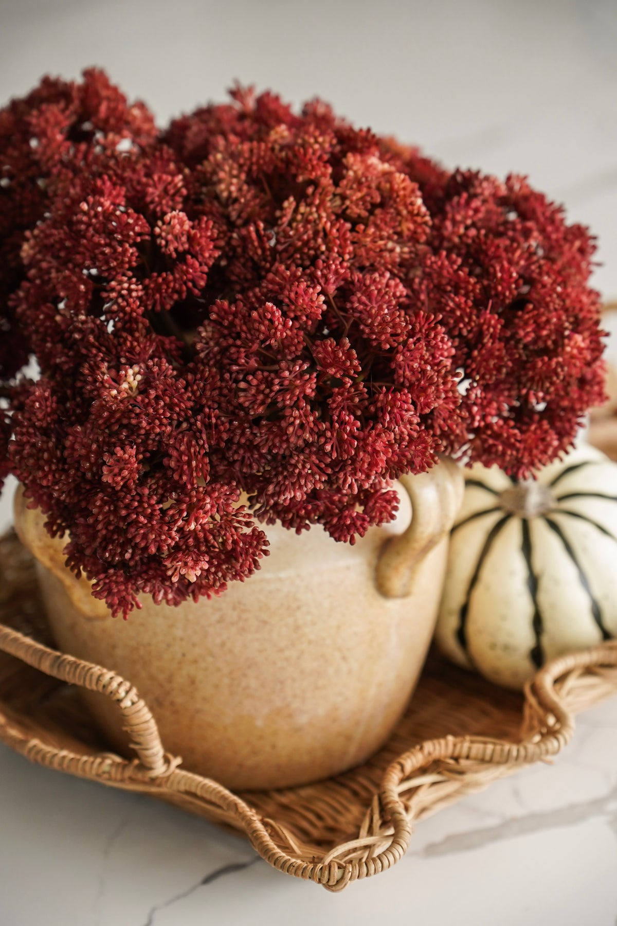 Dusty Cranberry Seed Pod Bundle
