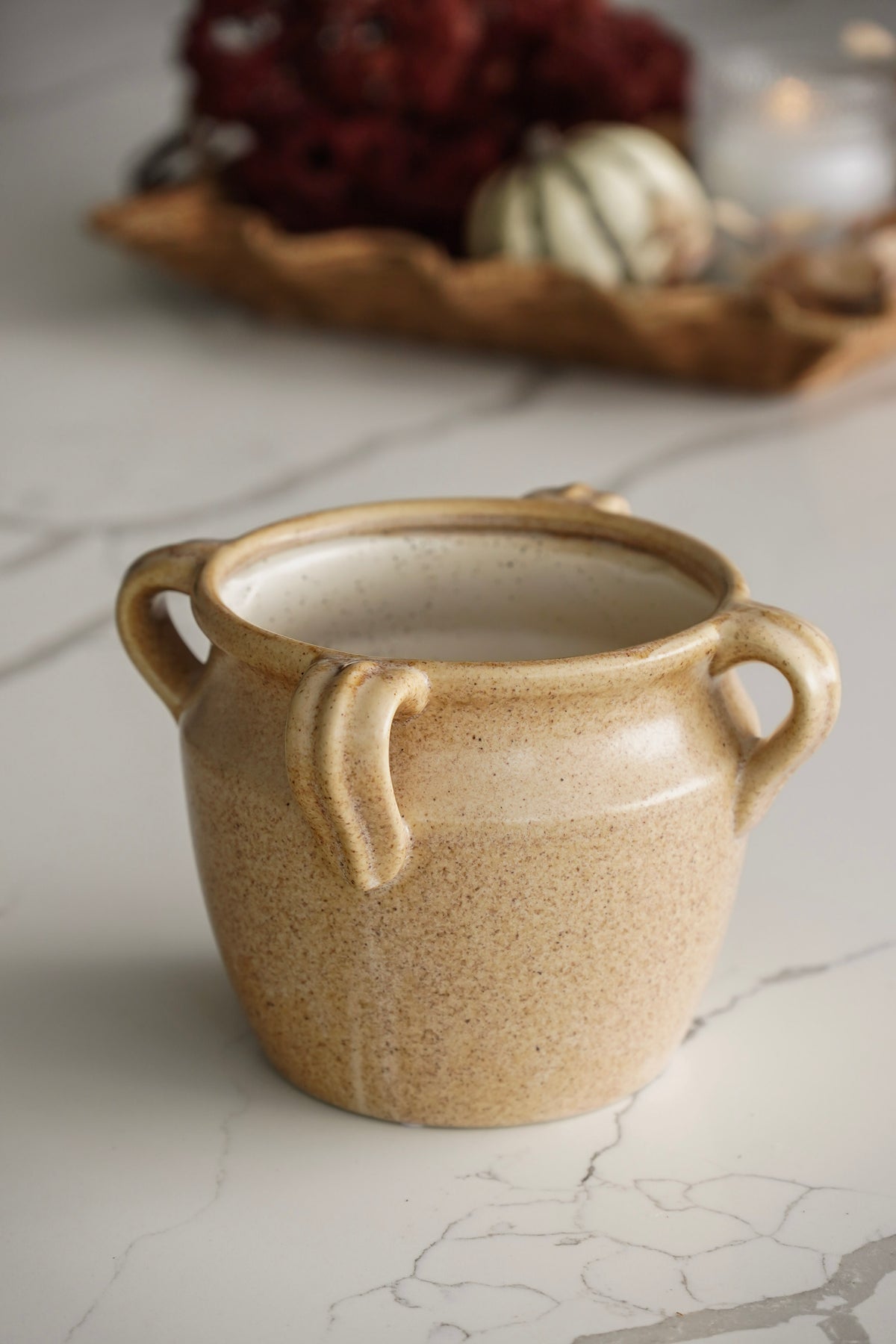 Provencal Four Handle Pot | Short