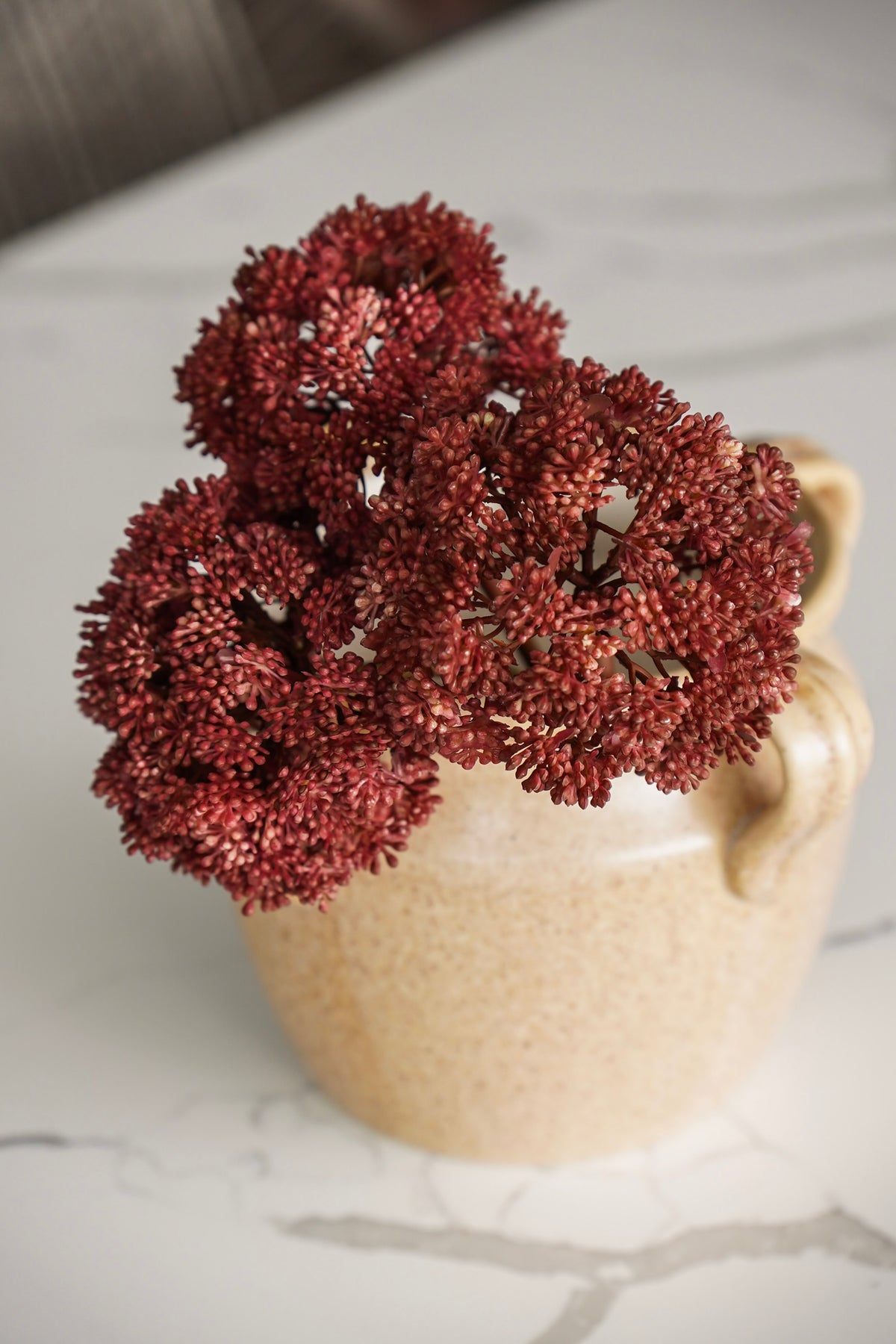 The Burgundy Harvest Styled Look