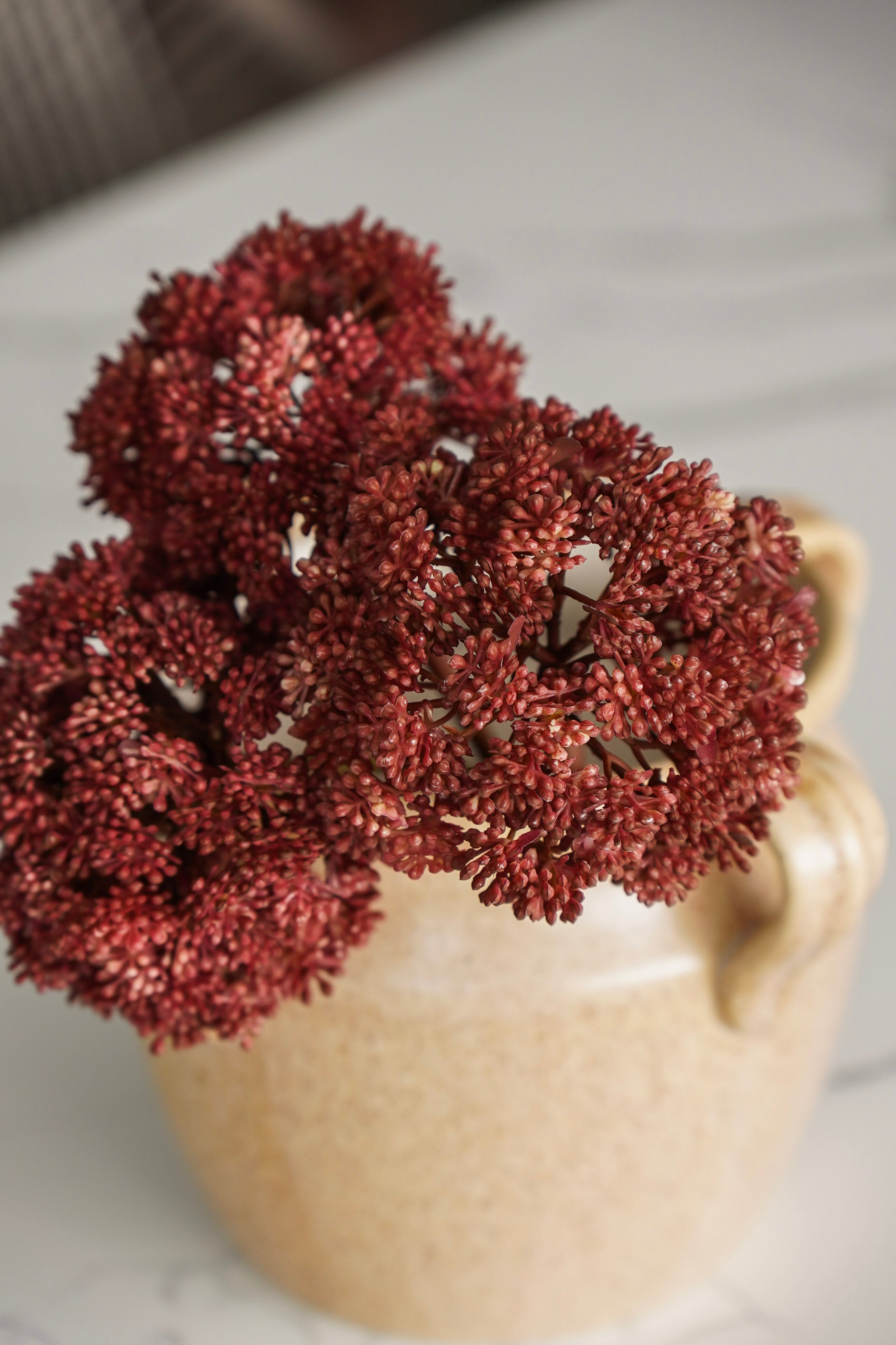 The Burgundy Harvest Styled Look