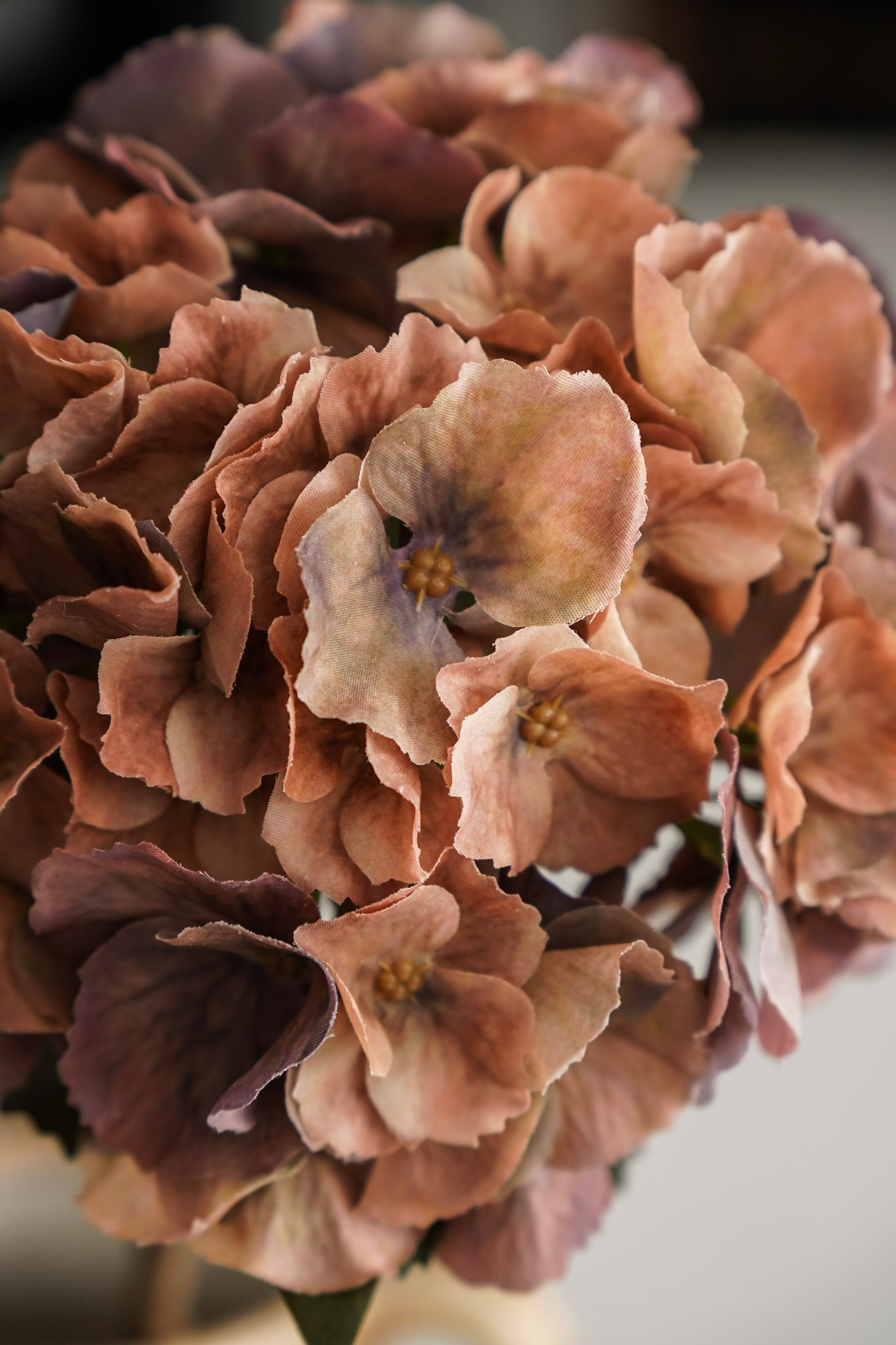 Faded Mocha Hydrangea Stem