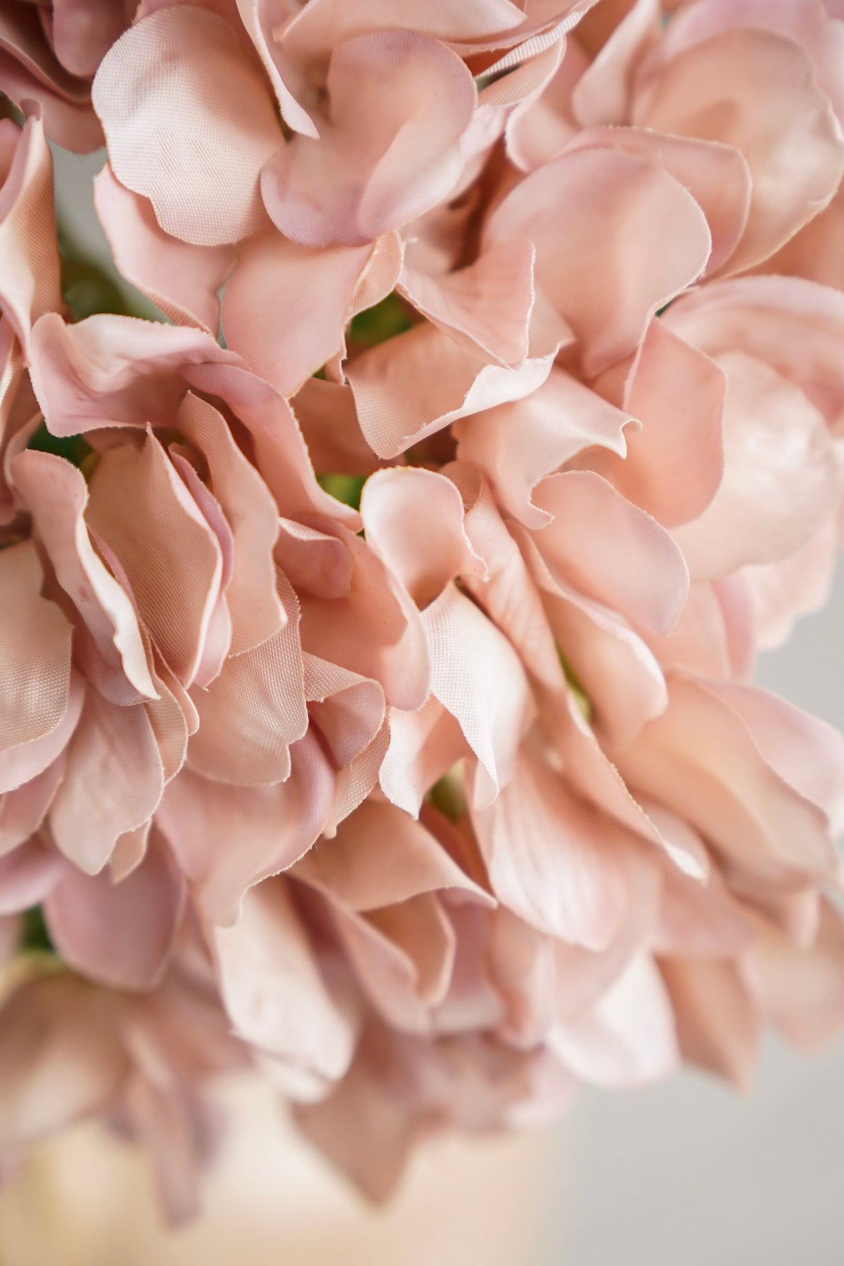 Faded Blush Real Touch Hydrangea Stem