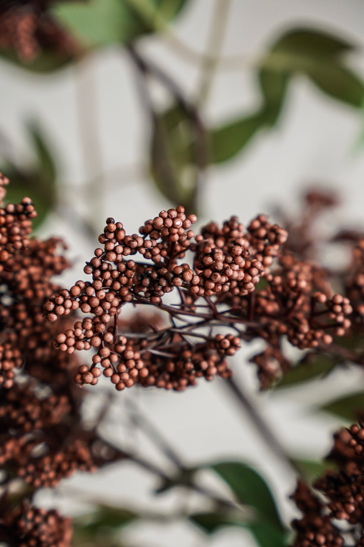 Wild Berry Spray