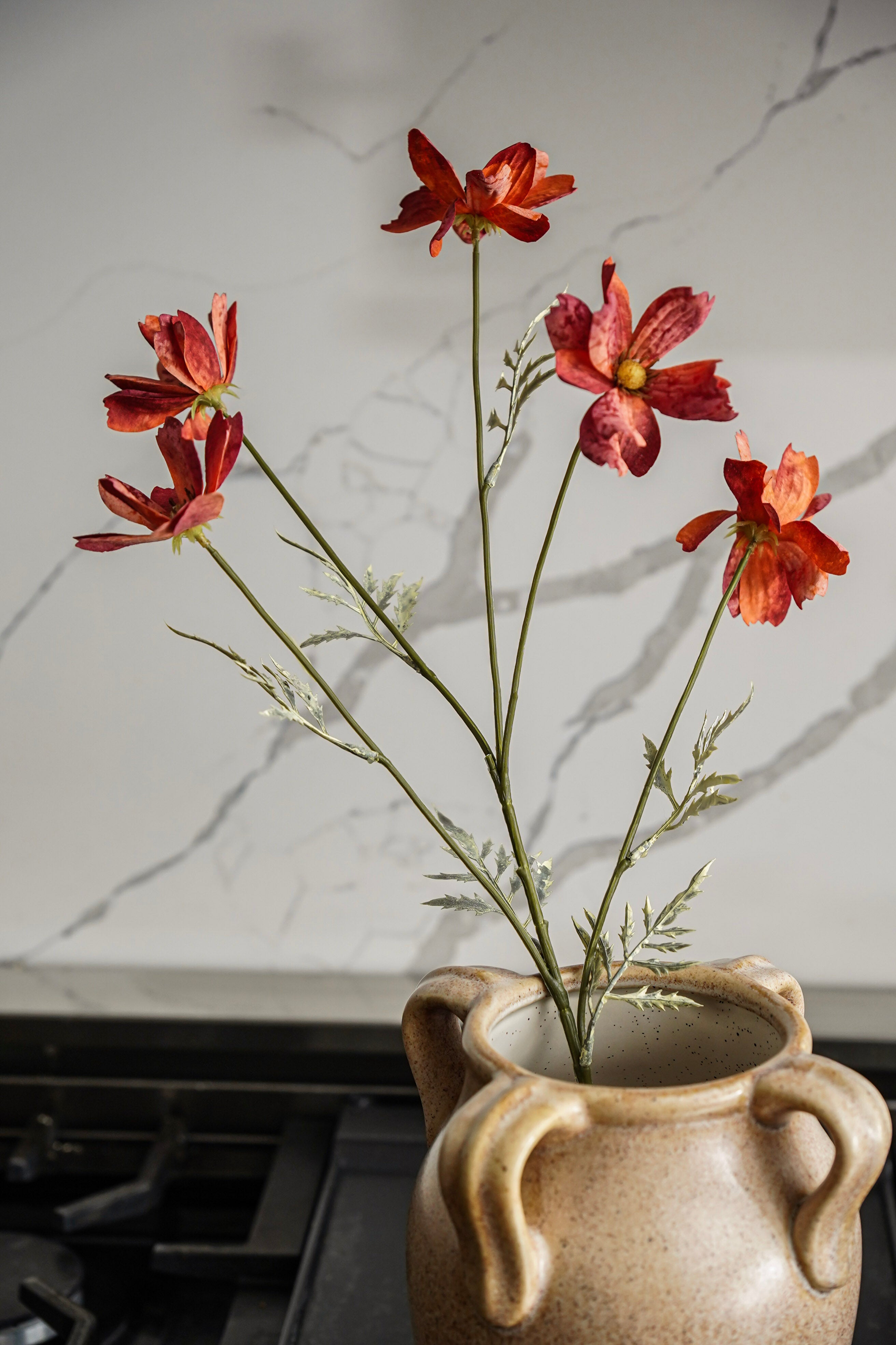Terracotta Cosmo Stem