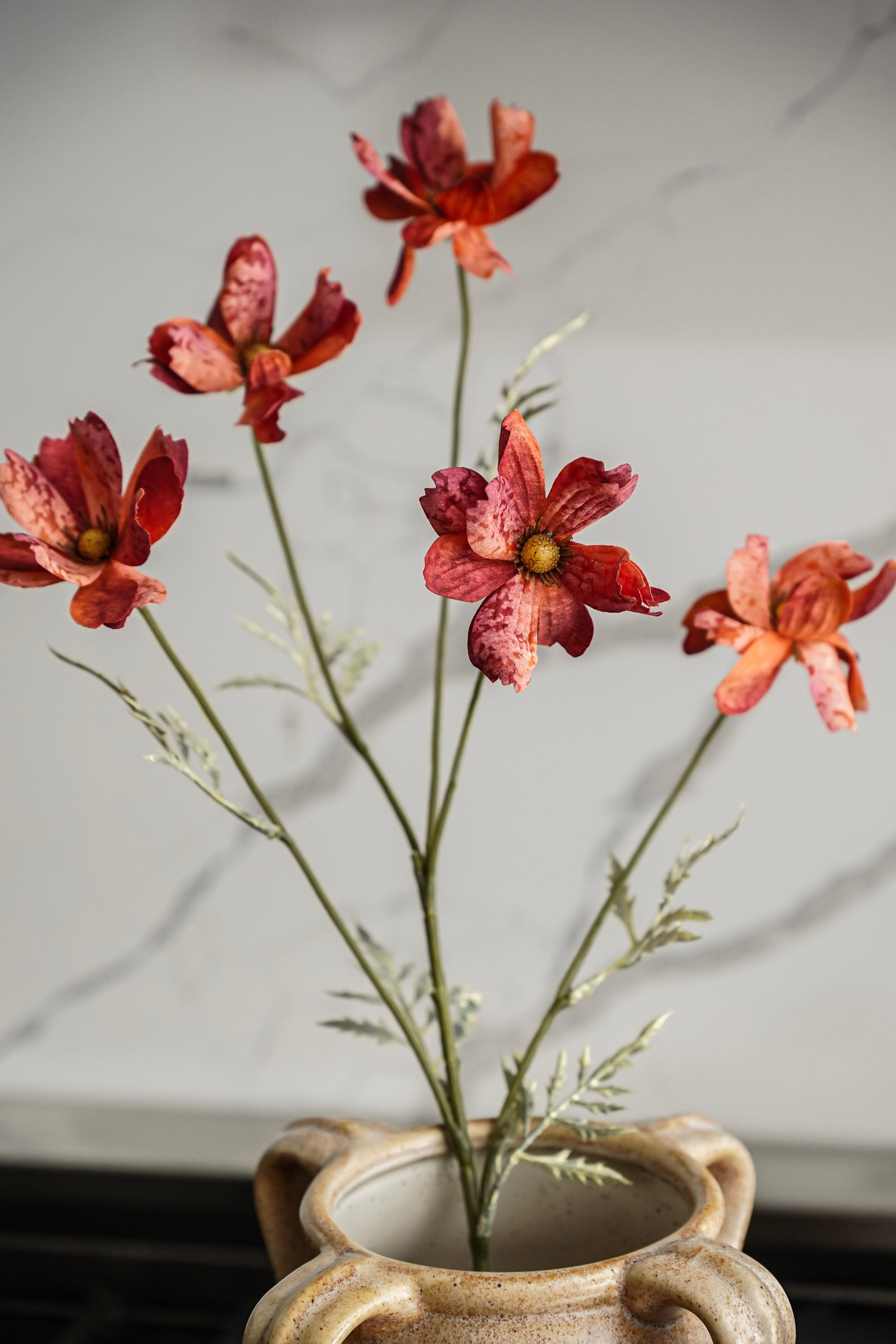 Terracotta Cosmo Stem