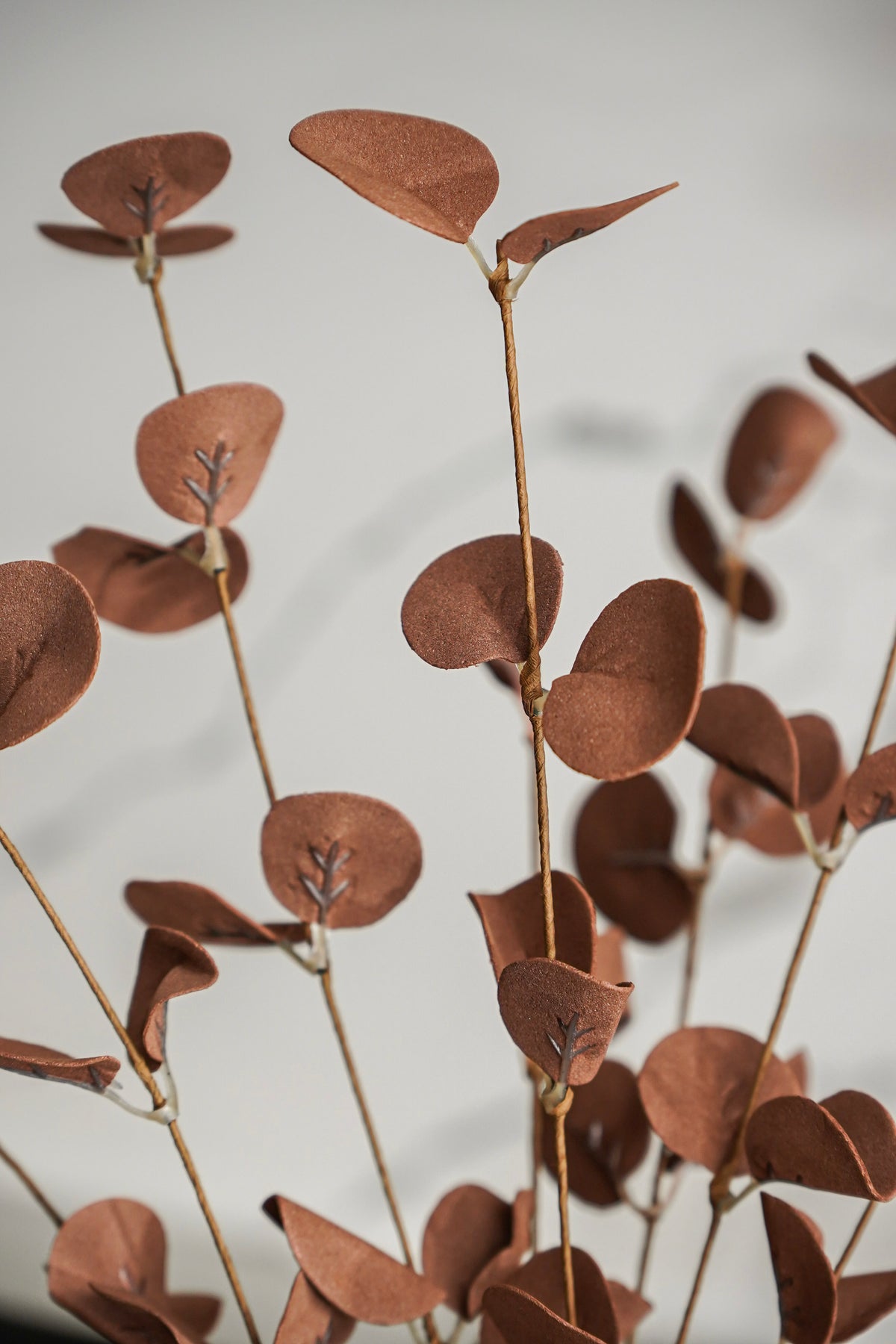 The Copper Harvest Styled Look
