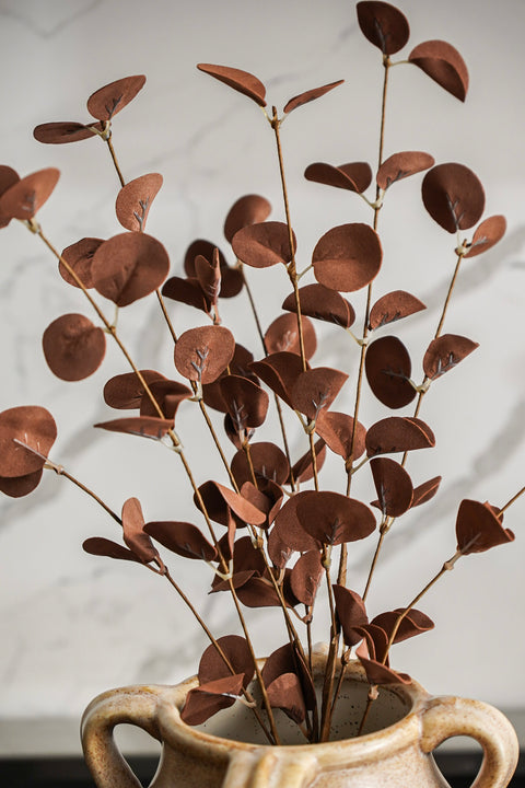 Mocha Eucalyptus Stem