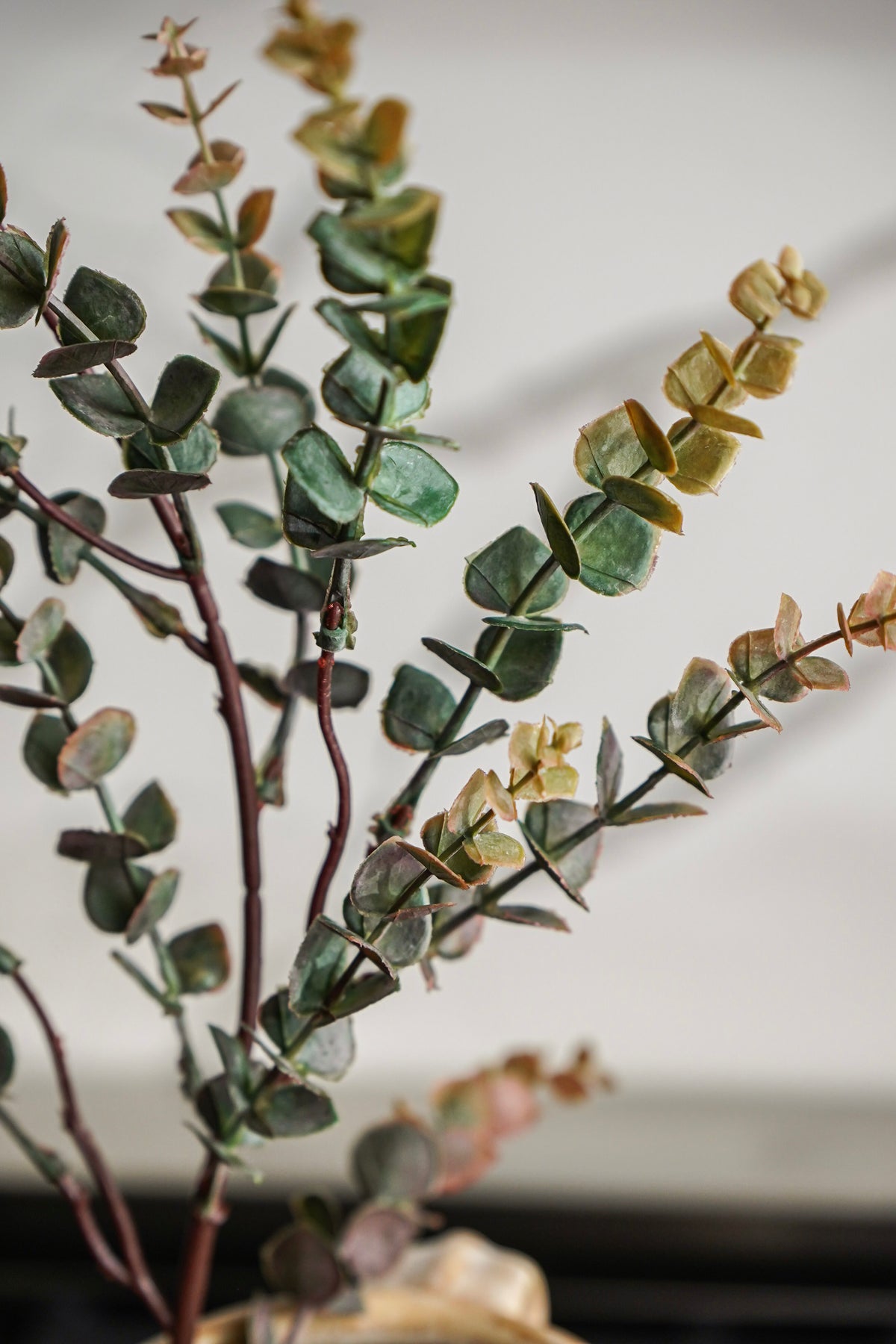 The Autumn Eucalyptus Styled Look