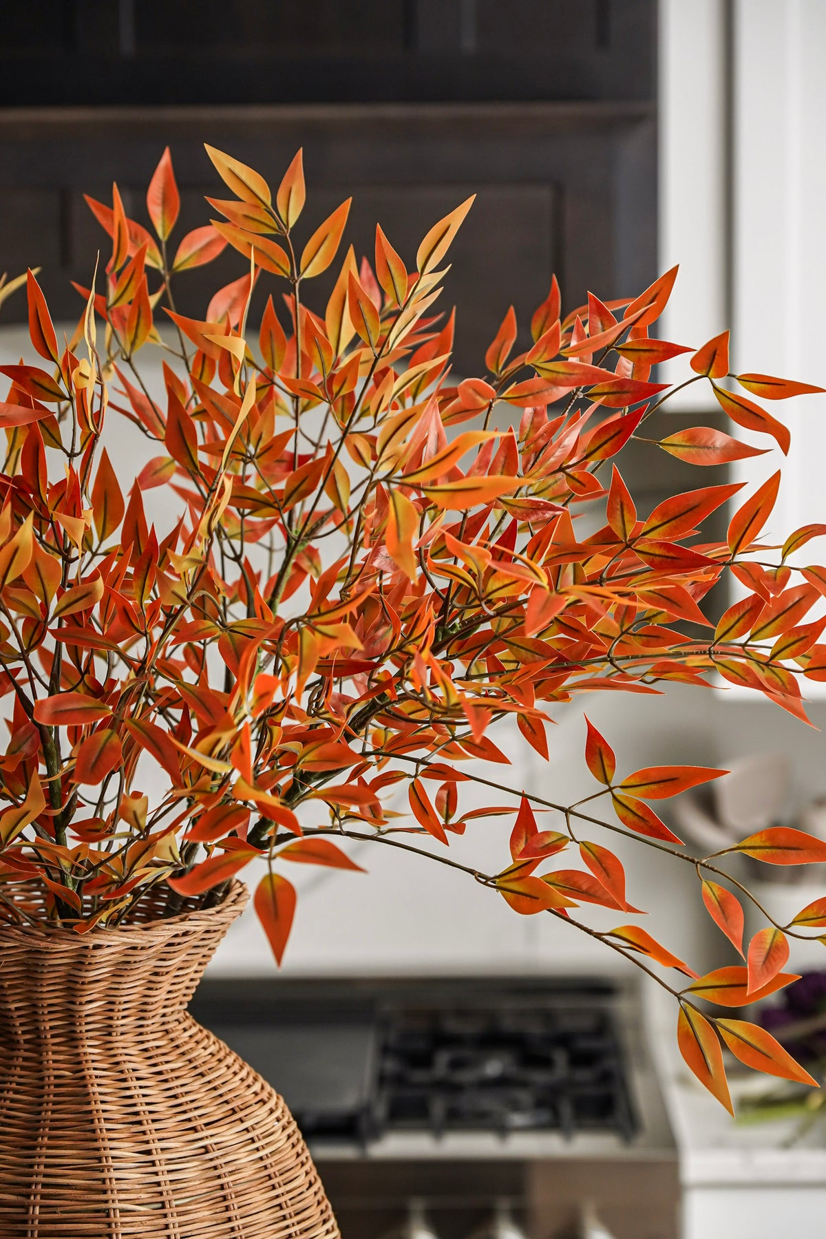 The Turning Leaves Styled Look