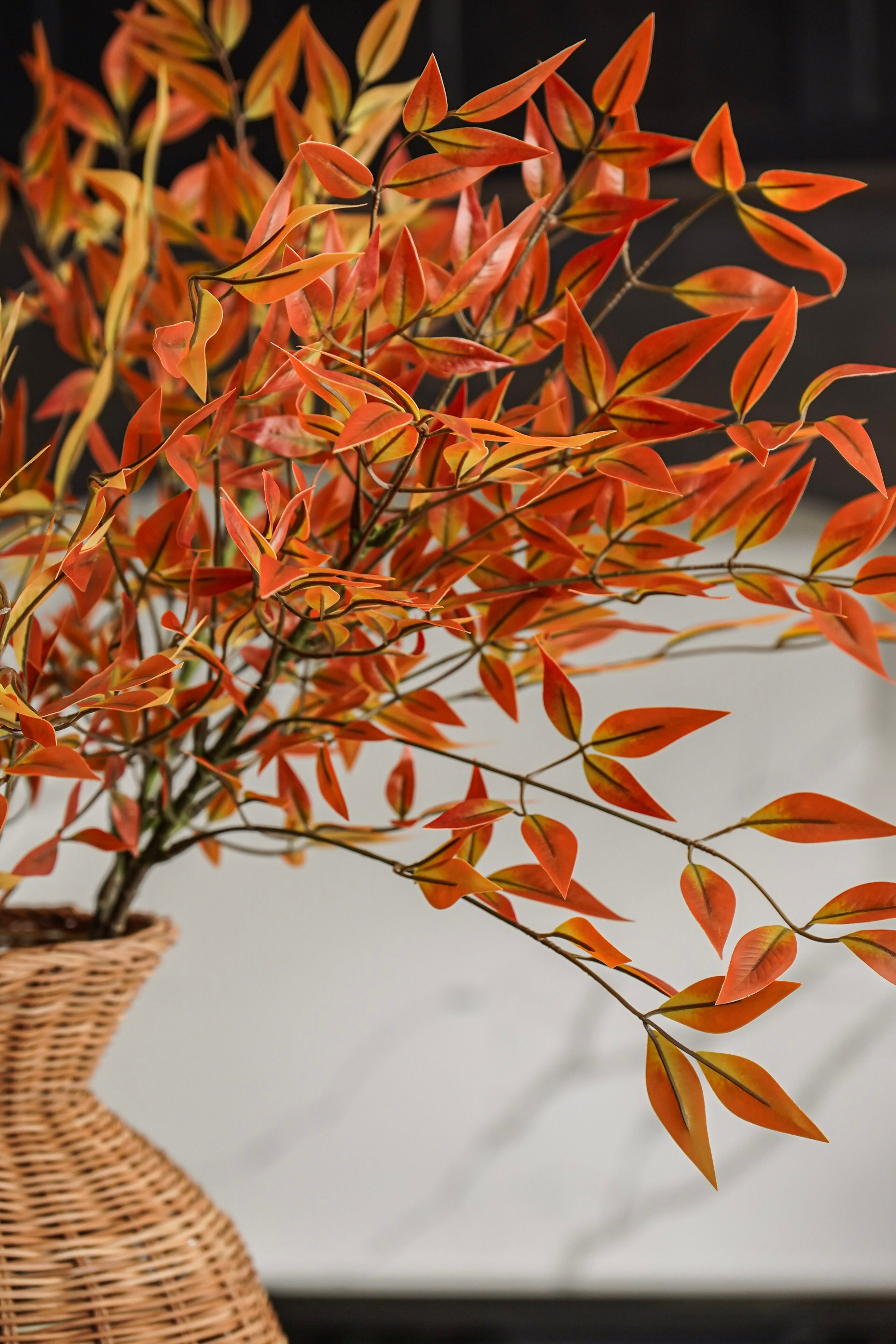 The Turning Leaves Styled Look