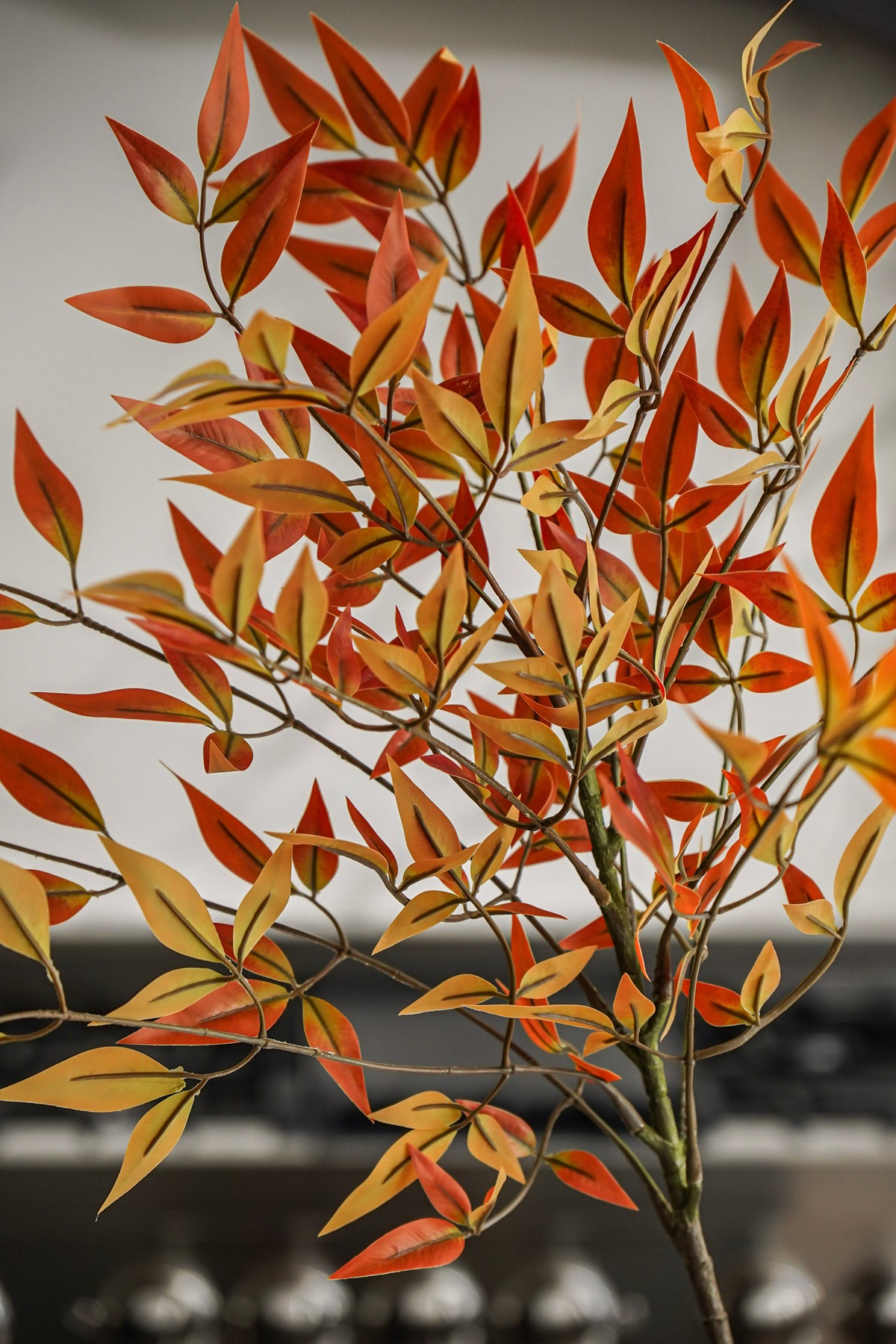 Autumn Maple Leaf Branch