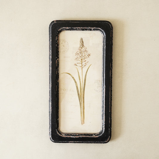 Framed Botanical Print