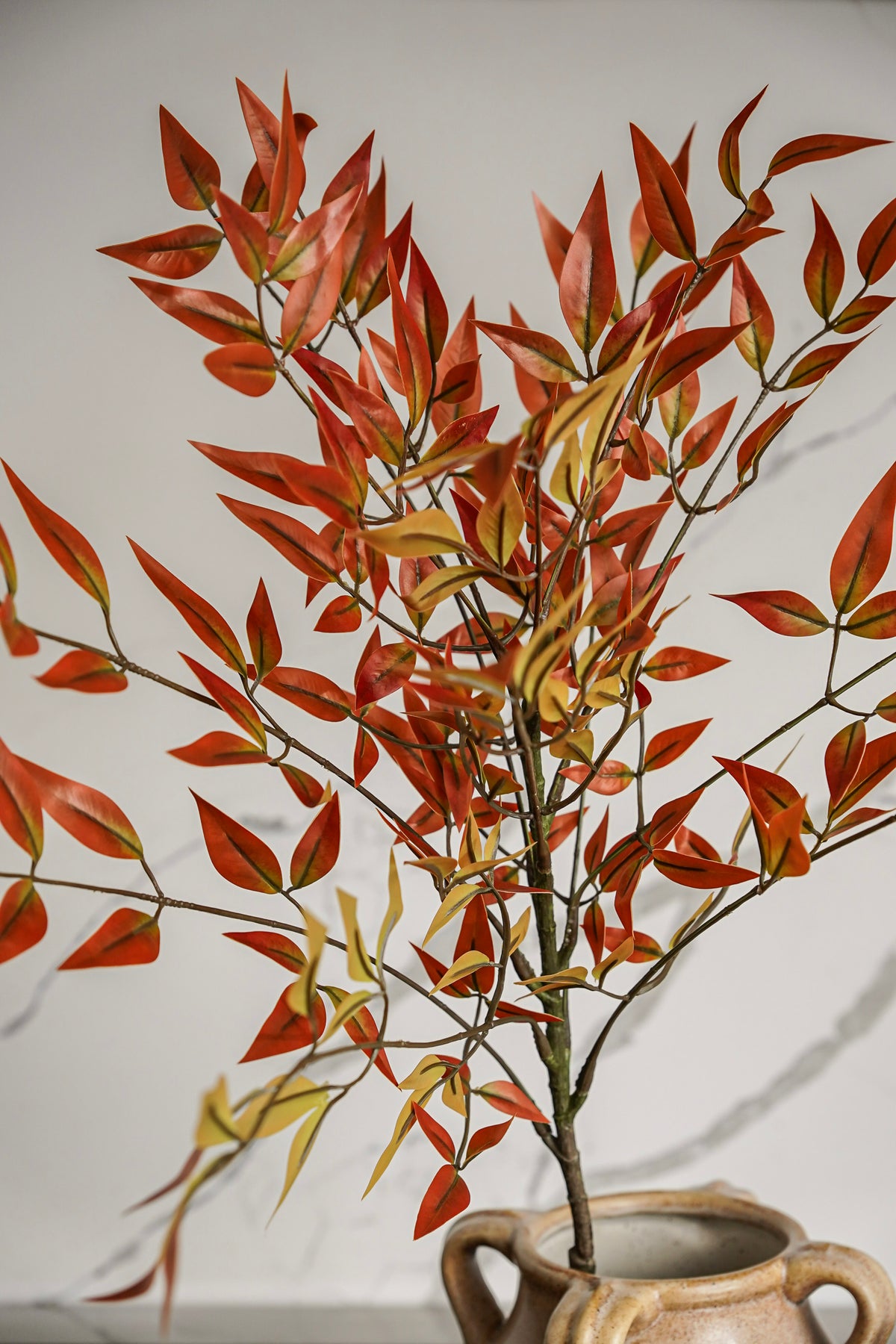 Autumn Maple Leaf Branch