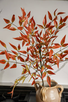 Autumn Maple Leaf Branch