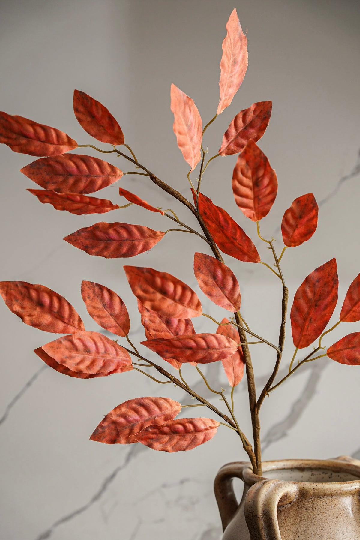 Autumn Rust Leaf Stem