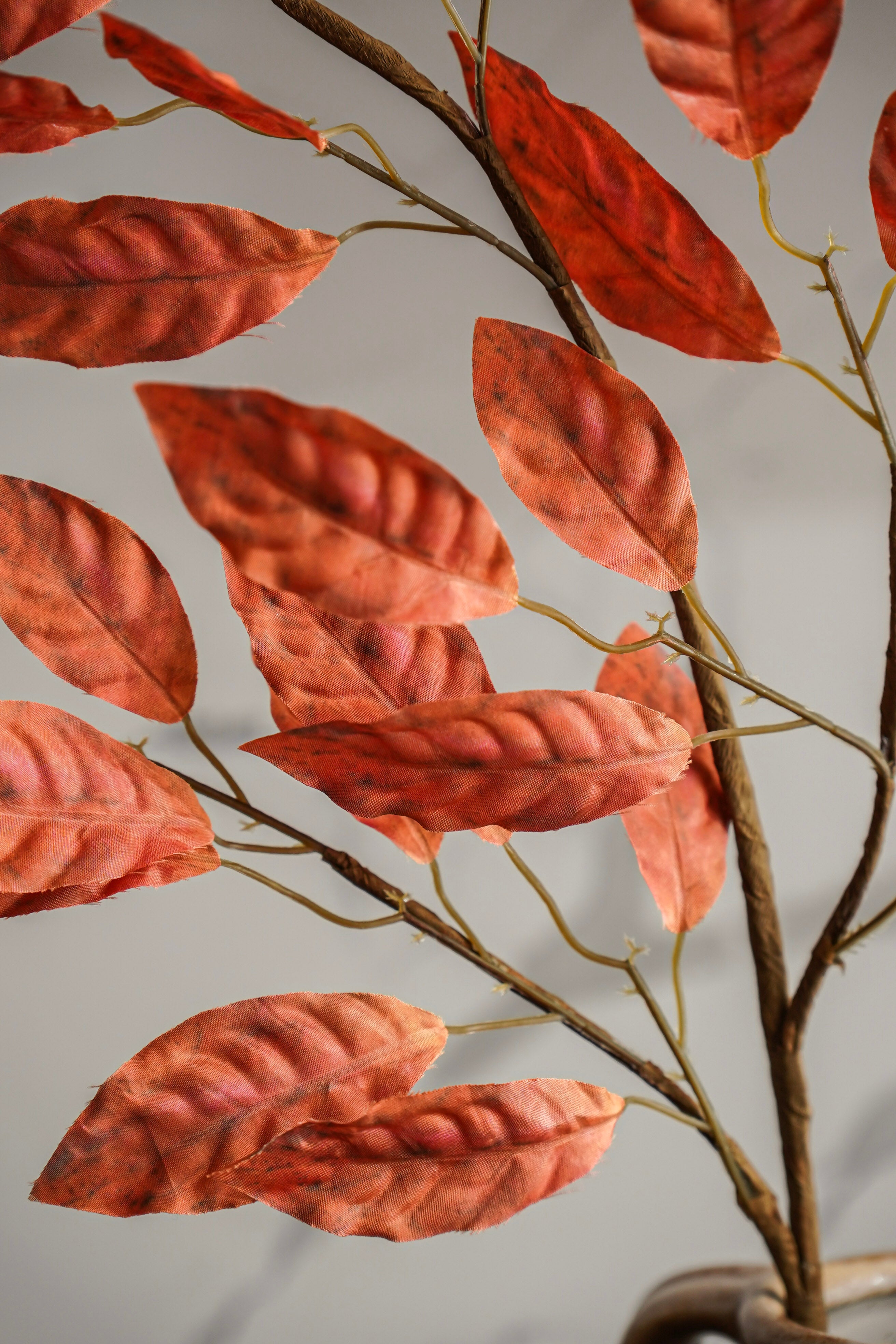 Autumn Rust Leaf Stem