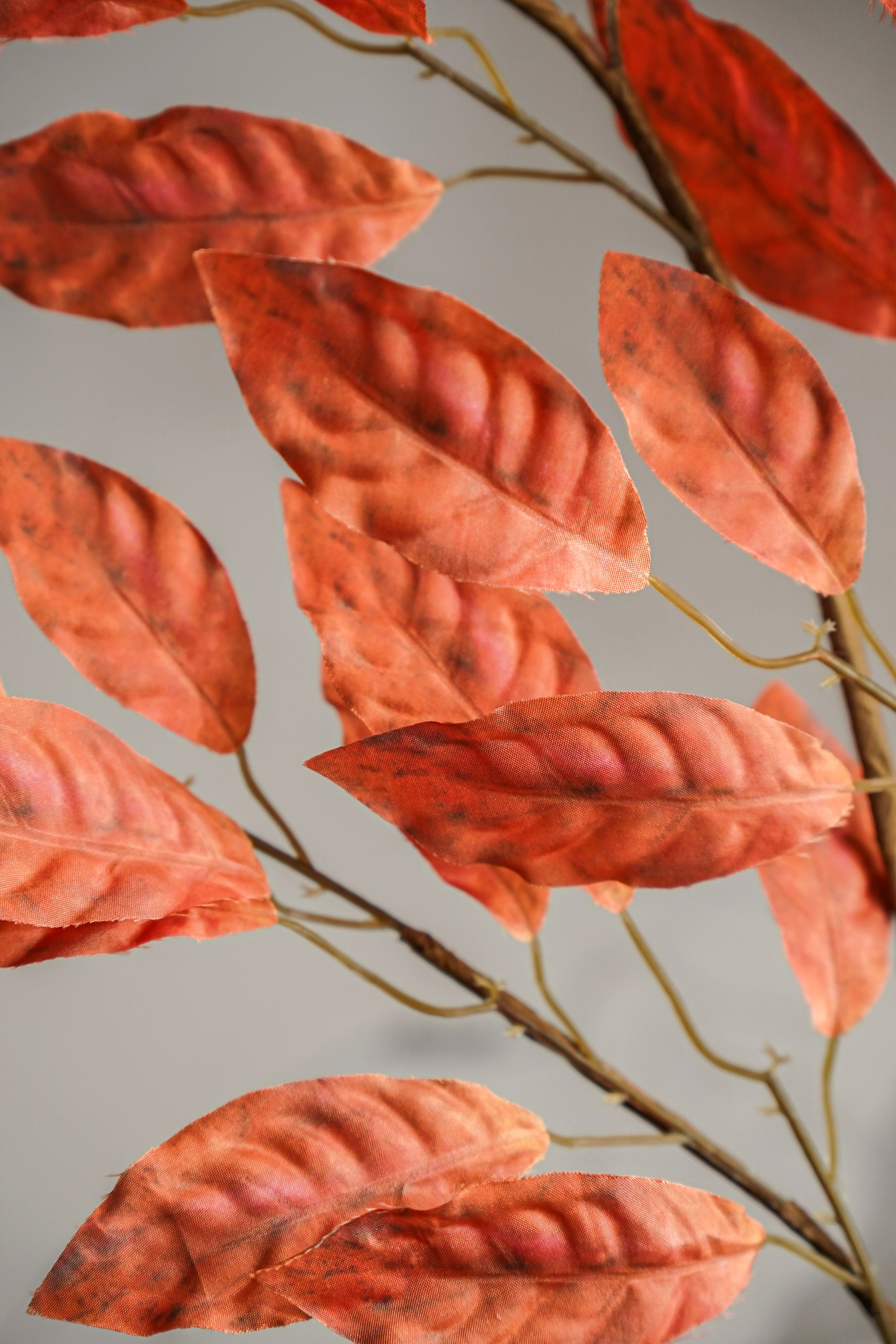 Autumn Rust Leaf Stem