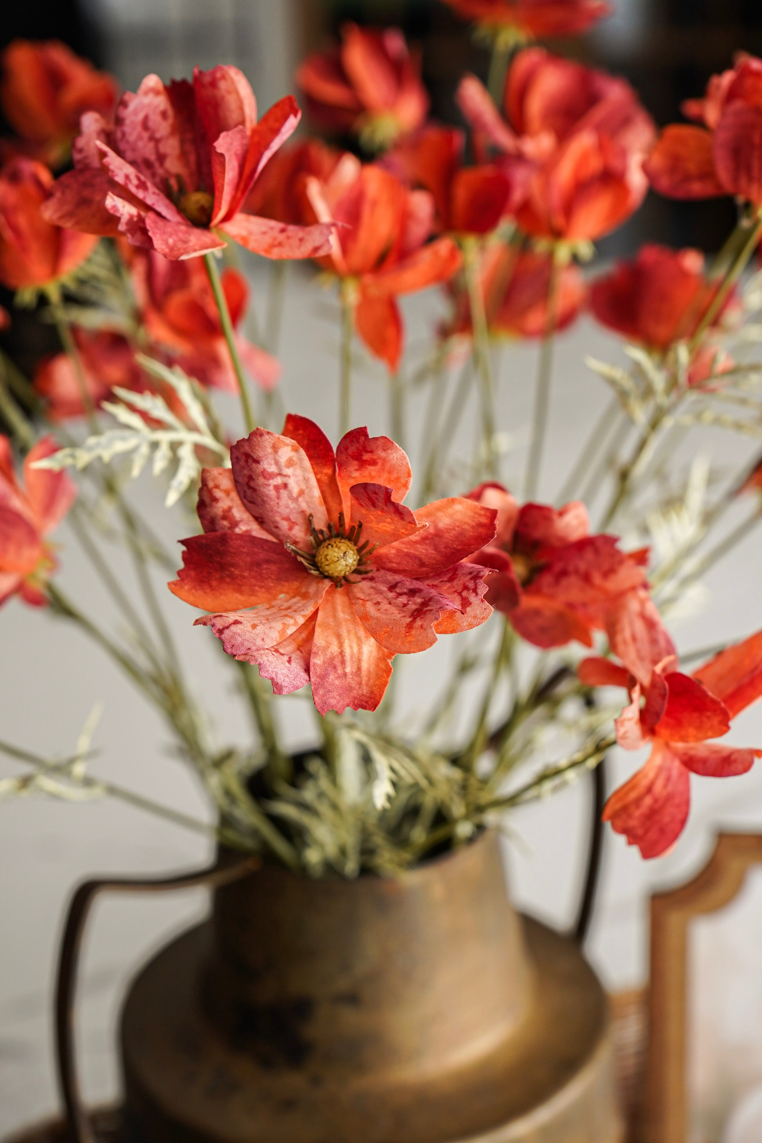 Terracotta Cosmo Stem