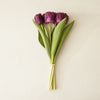 Real Touch Hybrid Tulip Bundle