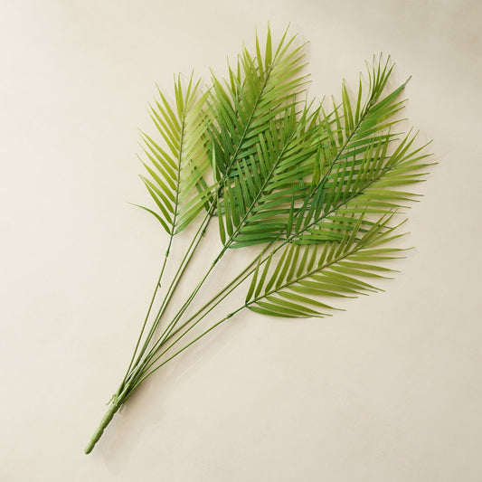 Fernando Palm Bush