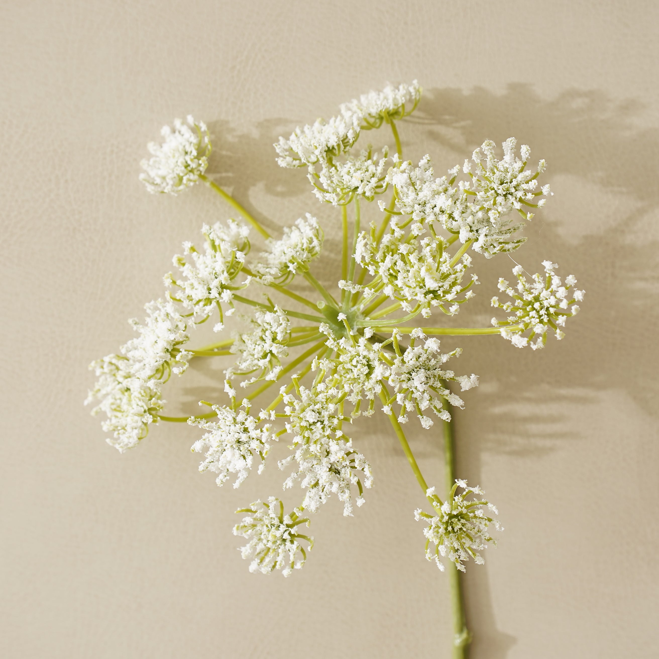 White Gypso Stem