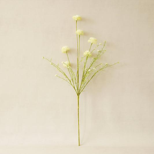 Green Dandelion Spray