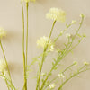 Green Dandelion Spray
