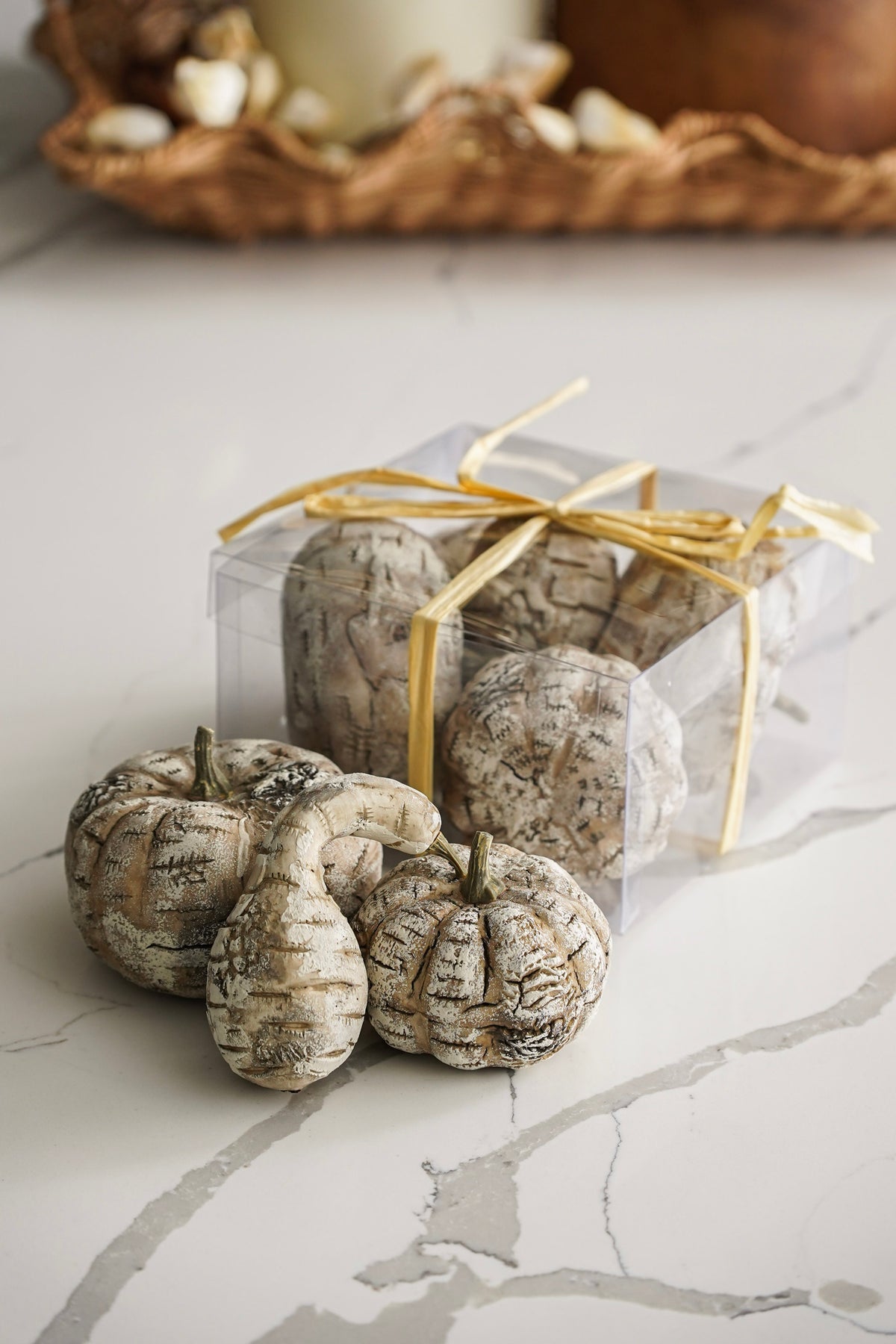 White Birch Pumpkin Set