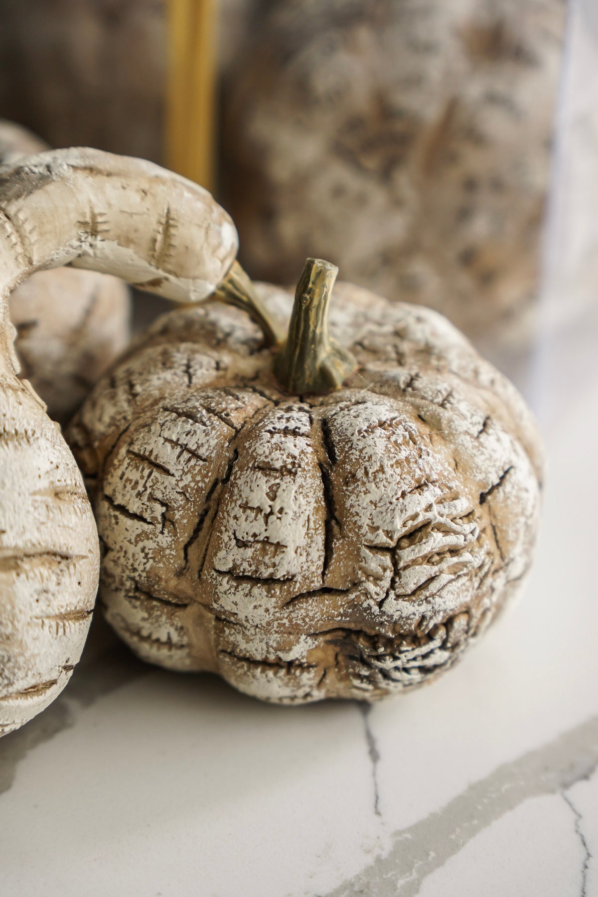 White Birch Pumpkin Set